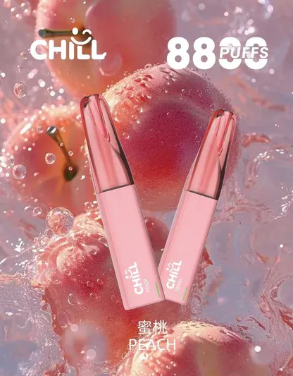 001-09 CHILL鴨嘴獸拋棄式電子煙 8800口|12W強勁輸出 3%濃度 大煙霧層次口感 台灣現貨